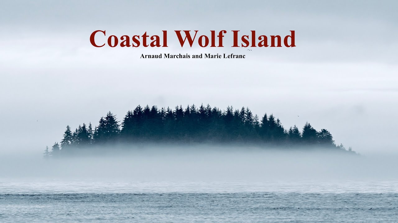 Coastal Wolf Island - An adventure on Vancouver Island