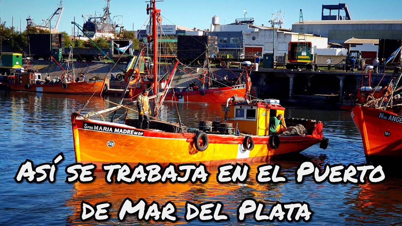 ASI SE TRABAJA EN EL PUERTO MAR DEL PLATA (NOV19)