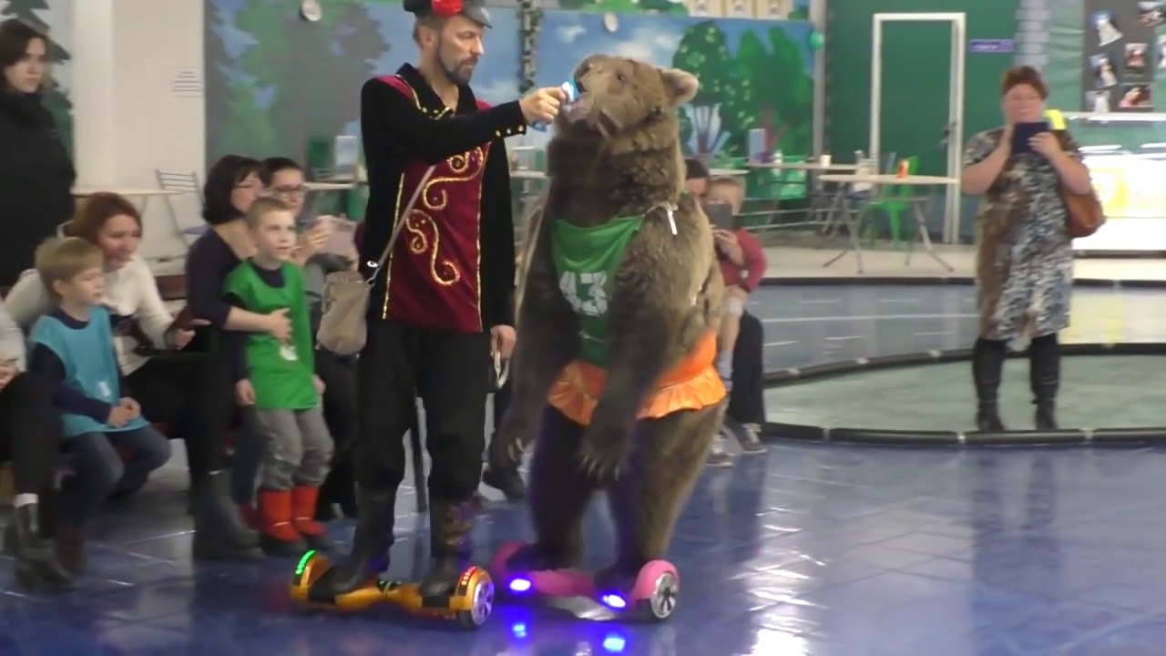 Russian Bear On Hoverboard