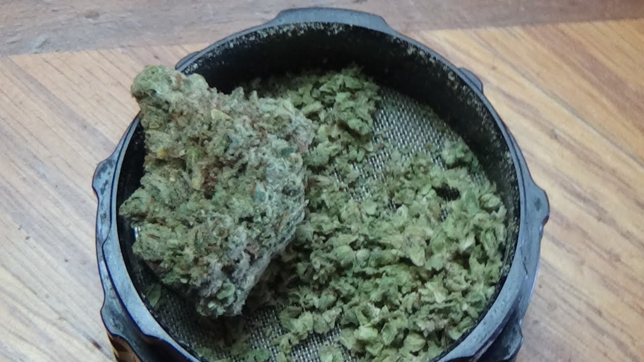 Let's Review Nameless Genetics: Mega-Glue