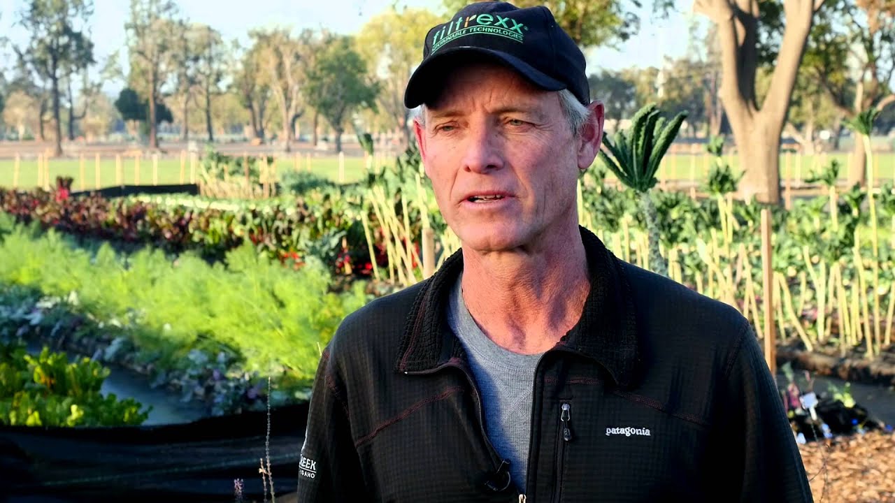 Alegria Farms - Taking Urban Farming to a Whole New Level