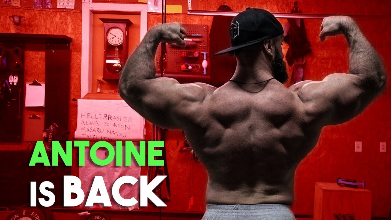 Antoine Vaillant is Larger Than You