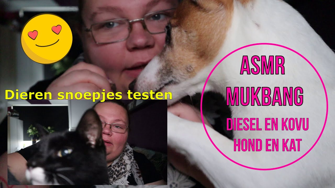 ASMR mukbang Nederlands - dieren snoepjes testen met een hond en kat