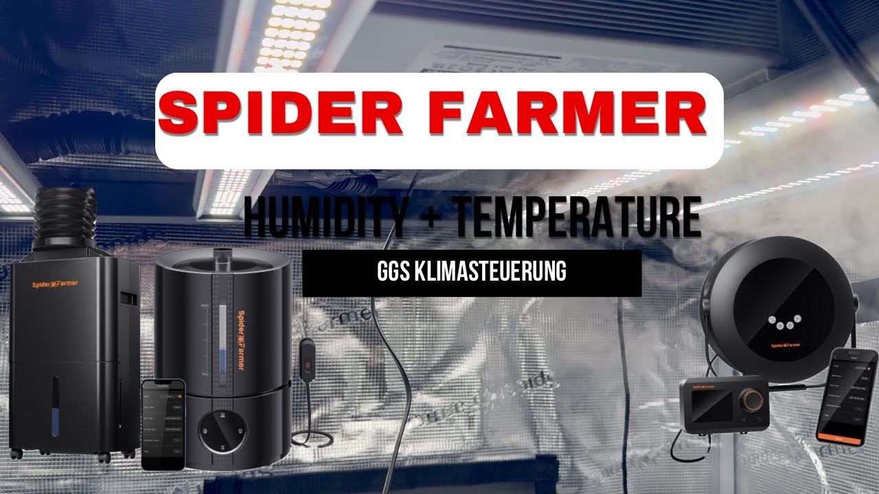 Automatisches Klima im Grow Tent 🌡️💧 | Humidity & Heater mit Smart System erklärt 🔥