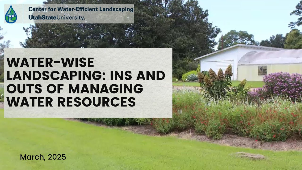 Water-wise Landscaping: Ins and Outs of Managing Water Resources, March 2025