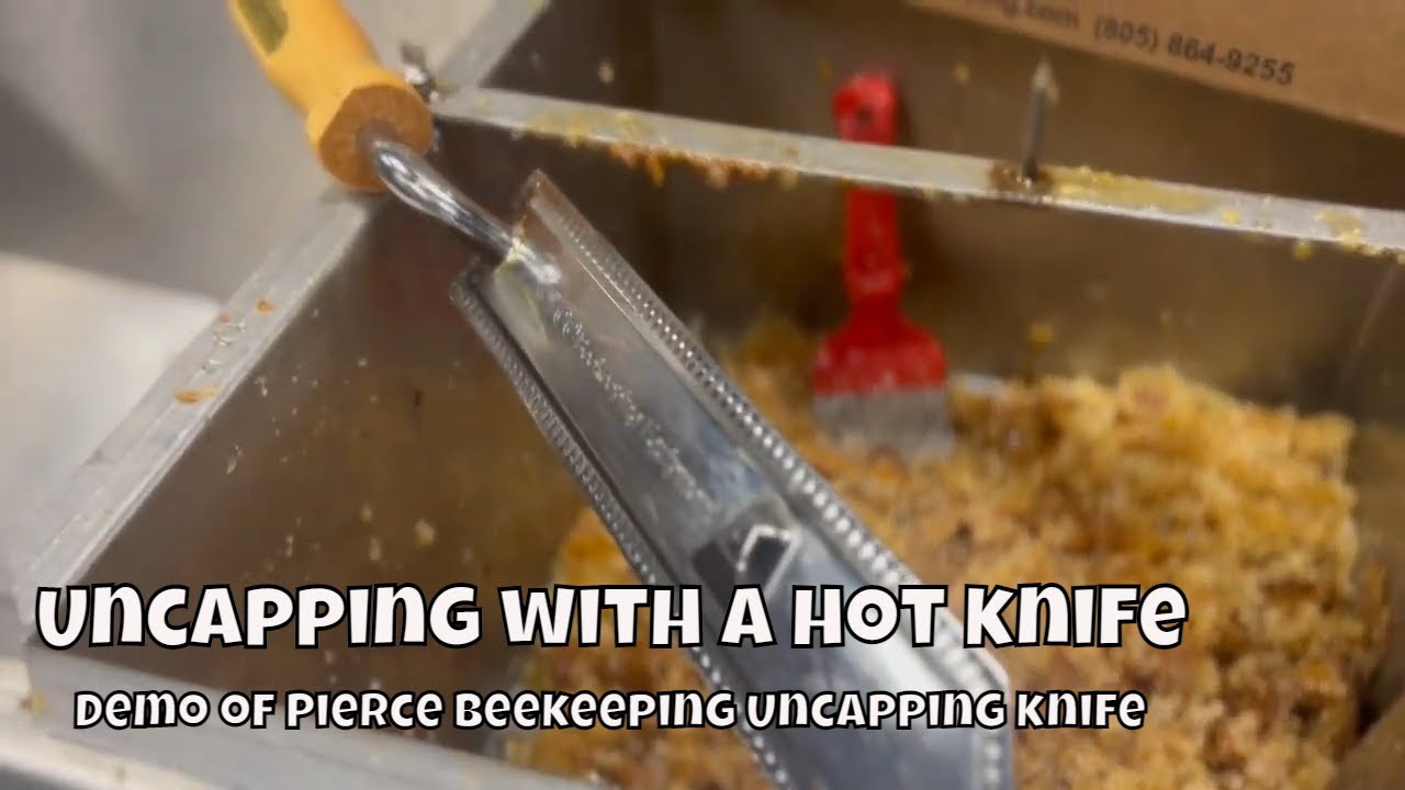 Best Uncapping Knife for Honey 🐝 | Beekeeping