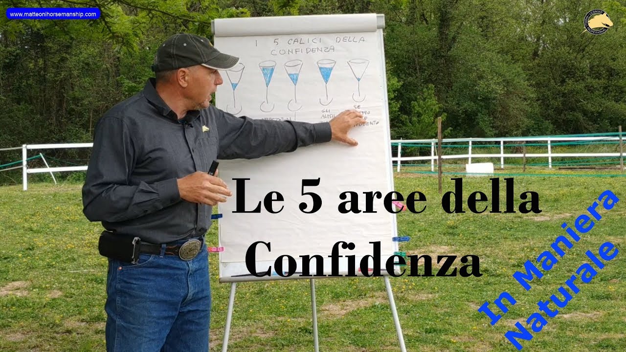 E di colpo il cavallo impazzì