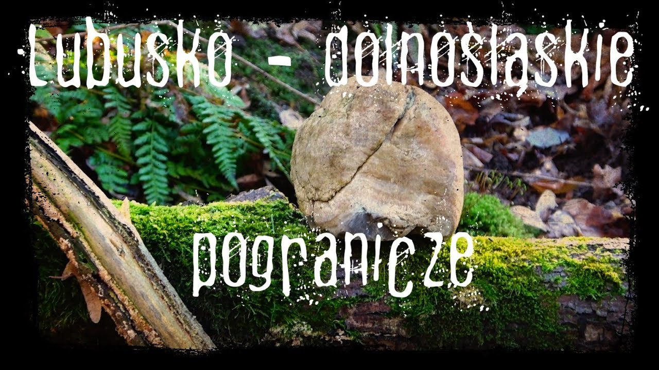 W poszukiwaniu skarbów natury - Agaty, kamienie z lubusko - dolnośląskiego pogranicza #kamień 