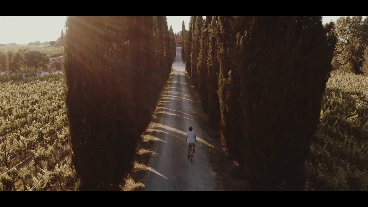 Poliziano Winery - About us