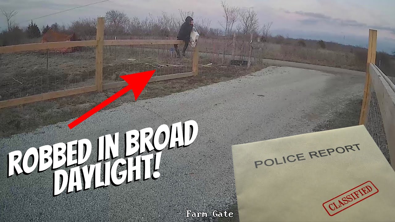 Porch Pirate! (Police Report Filed!)