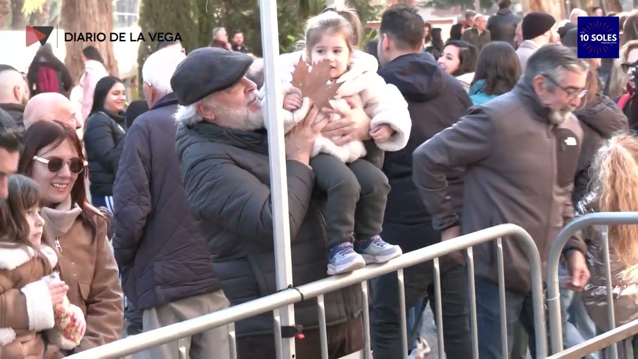 Orihuela Celebra la Fiesta de San Antón con Éxito de Afluencia. Orihuela, 2026