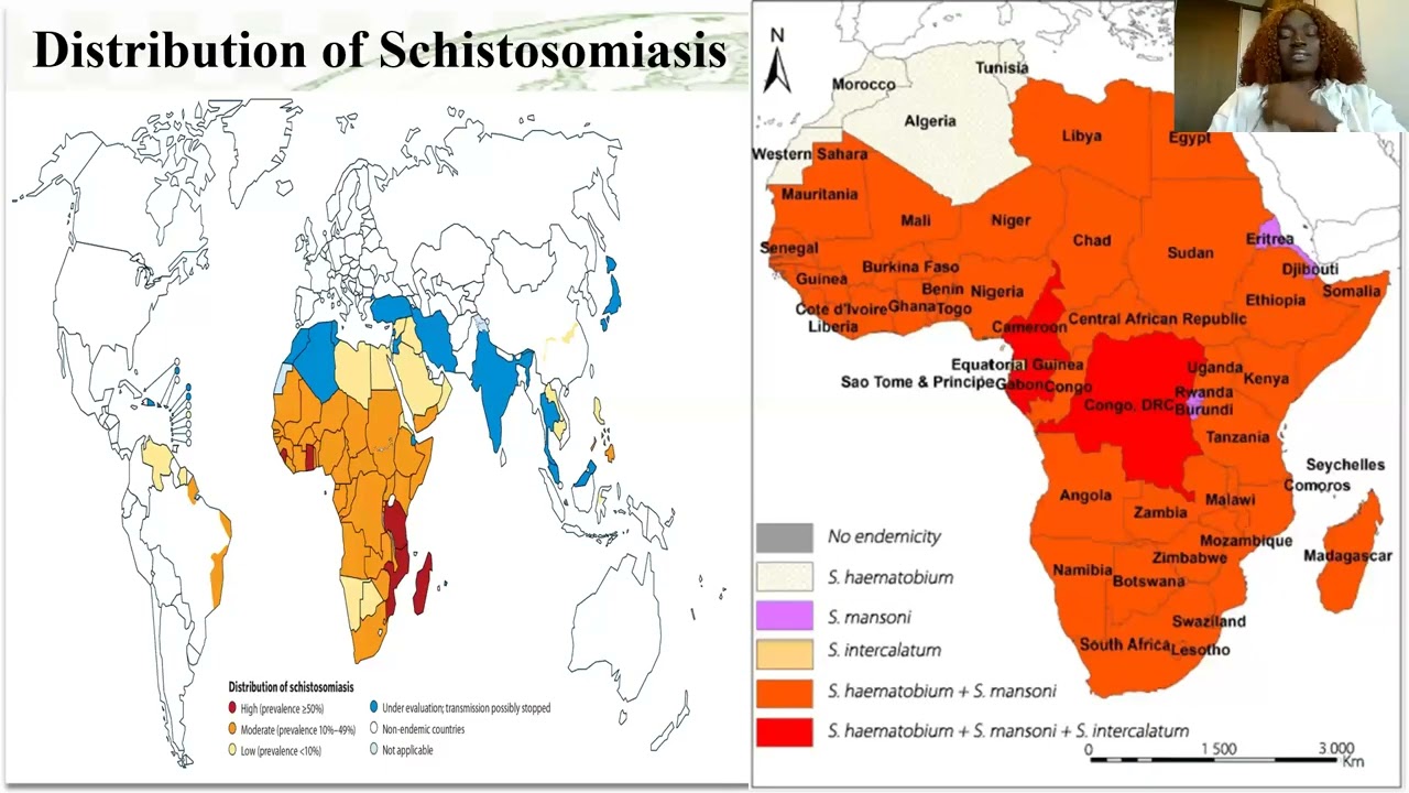 Tutorial Lecture Series on Infectious Diseases Affecting Africa Part 2