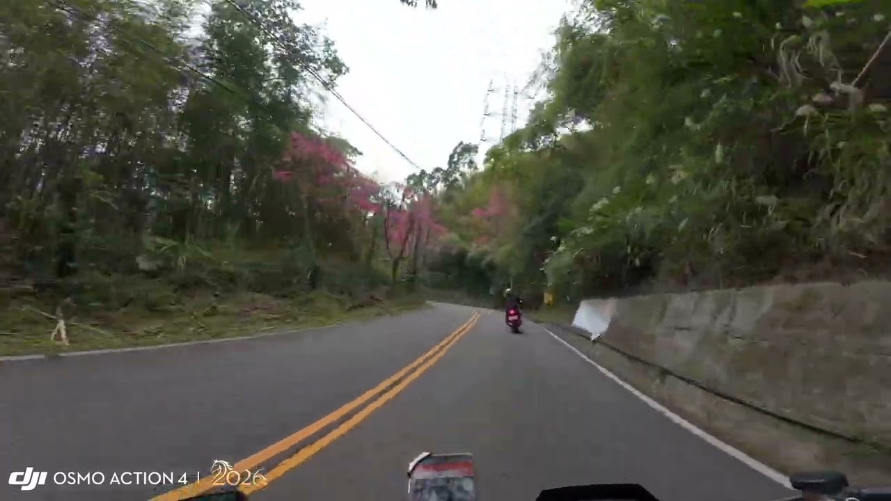 Triumph Speed Twin 1200跟拍 桃119鄉道 東眼山 下山 (重機跑山) 1