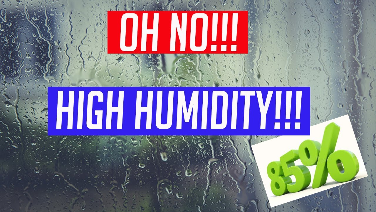 High humidity in grow tent!!