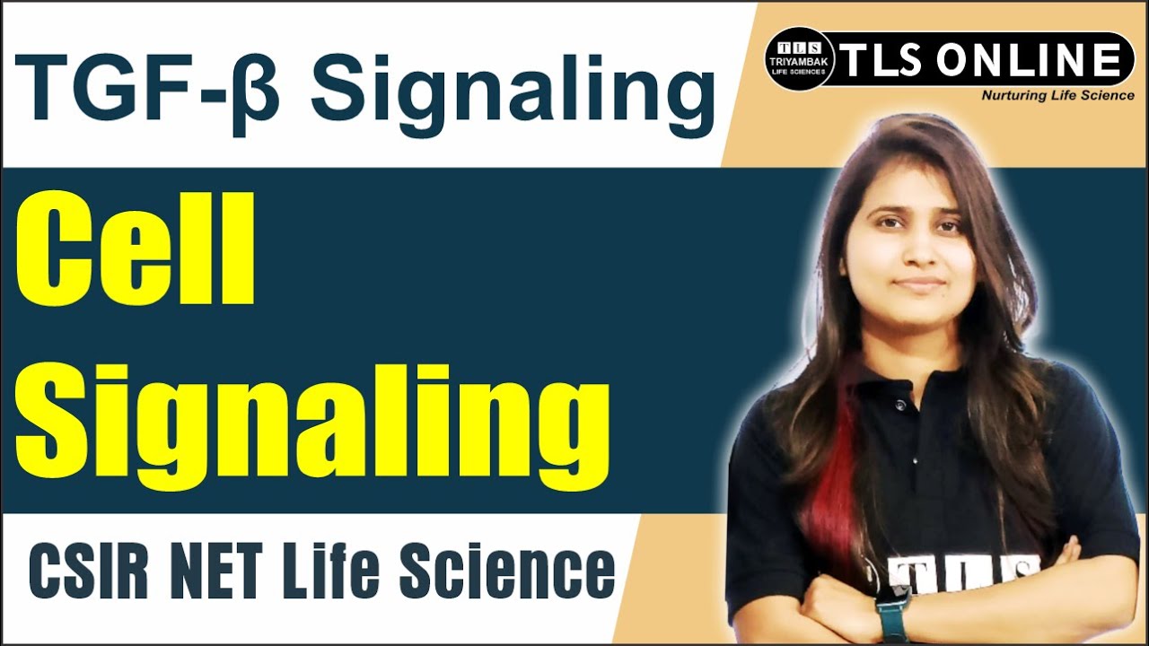 TGF-β Signaling | Cell Signaling | CSIR NET Life Science | Shruti Shukla |