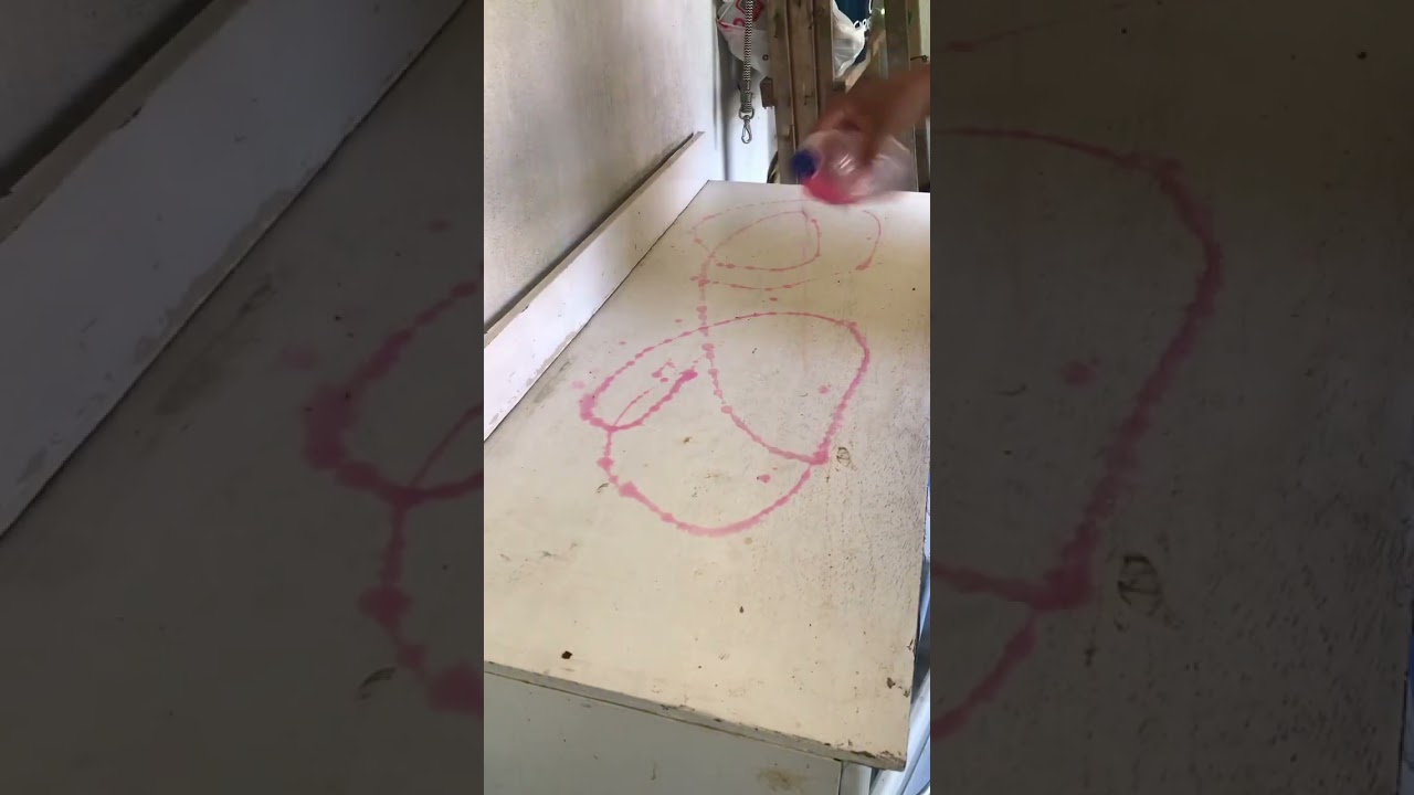 Limpeza no arm&aacute;rio 🏠❤️🪴🧼🫧🧽.             #limpeza #limpandotudo #shortvideo #youtubeshorts