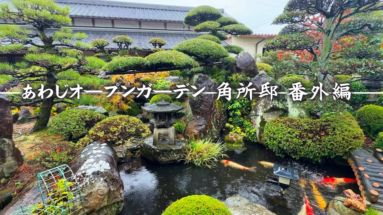 【あわじオープンガーデン】角所邸の番外編！バラで有名な庭は実は裏庭だった!? 正面玄関の先には鯉が泳ぐ趣のある庭園がありました【お庭訪問】