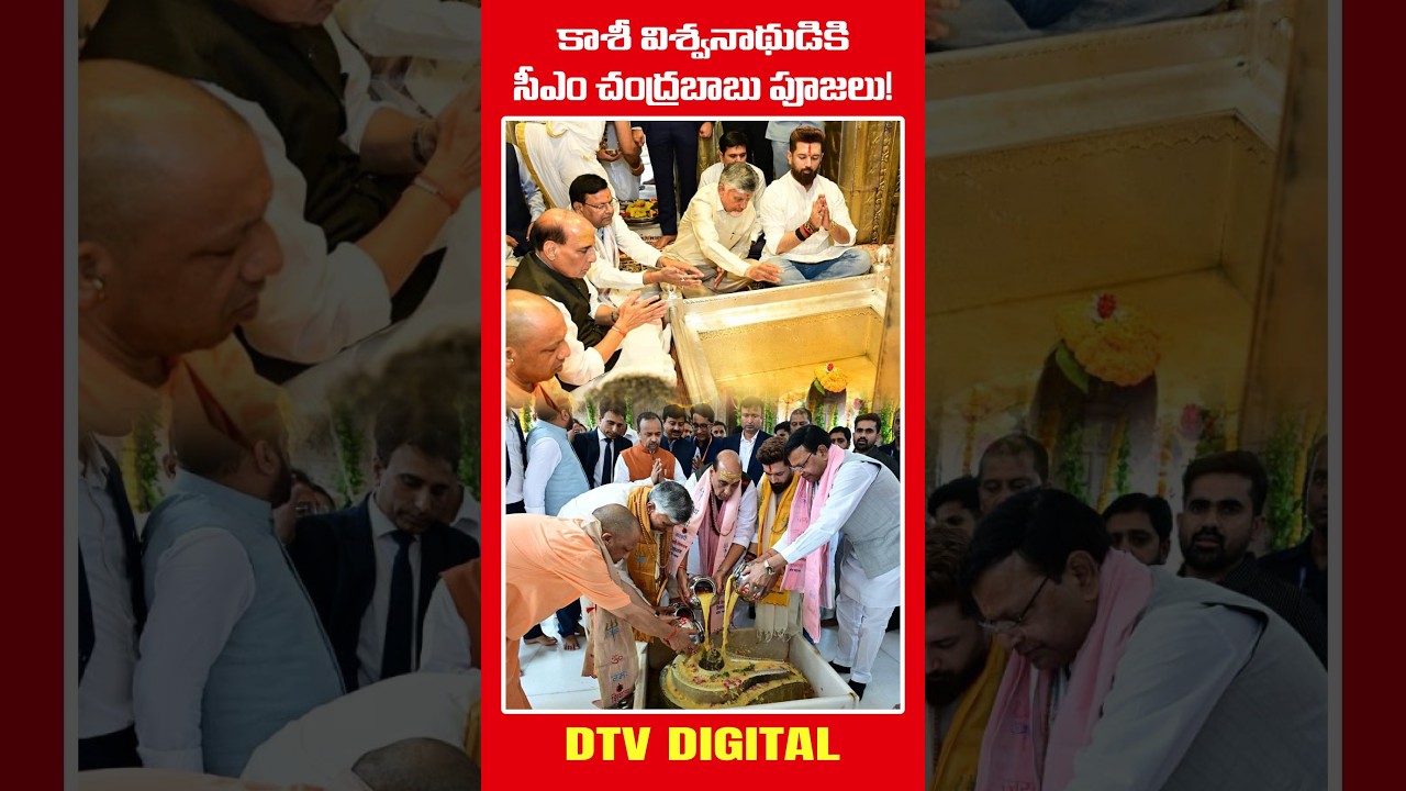 కాశీ విశ్వనాథుడికి సీఎం చంద్రబాబు  పూజలు! #chandrababunaidu #kashivishwanath