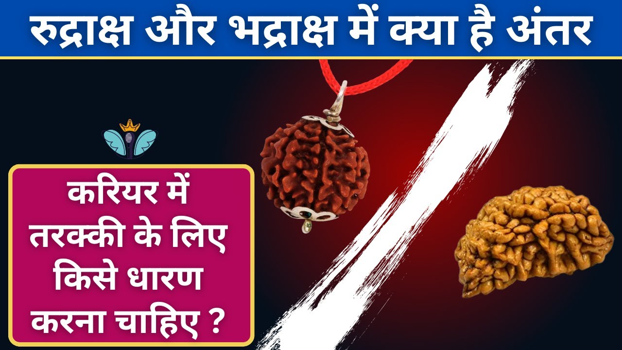 What is the difference between Rudraksh and Bhadraksh ? Dark secrets of Rudraksha। Talk With Pallvi