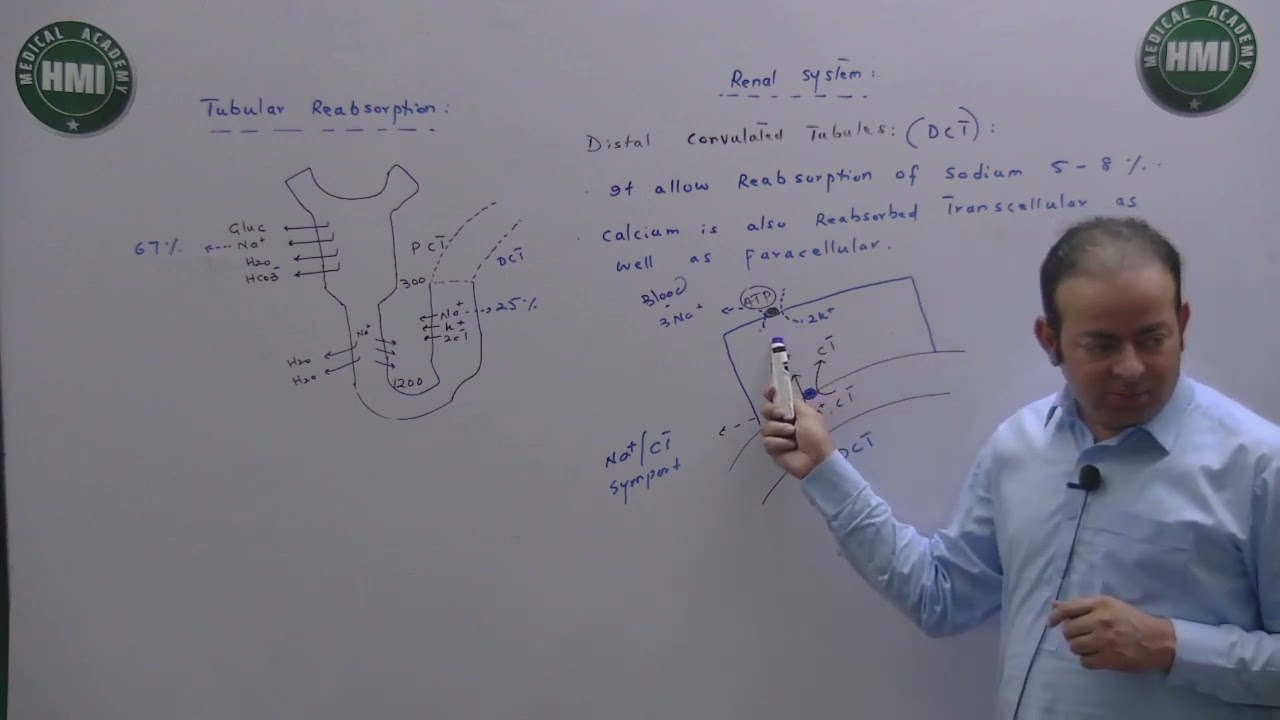 8 Renal System - Physio - Tubular Reabsorption From DCT & Collecting Duct.