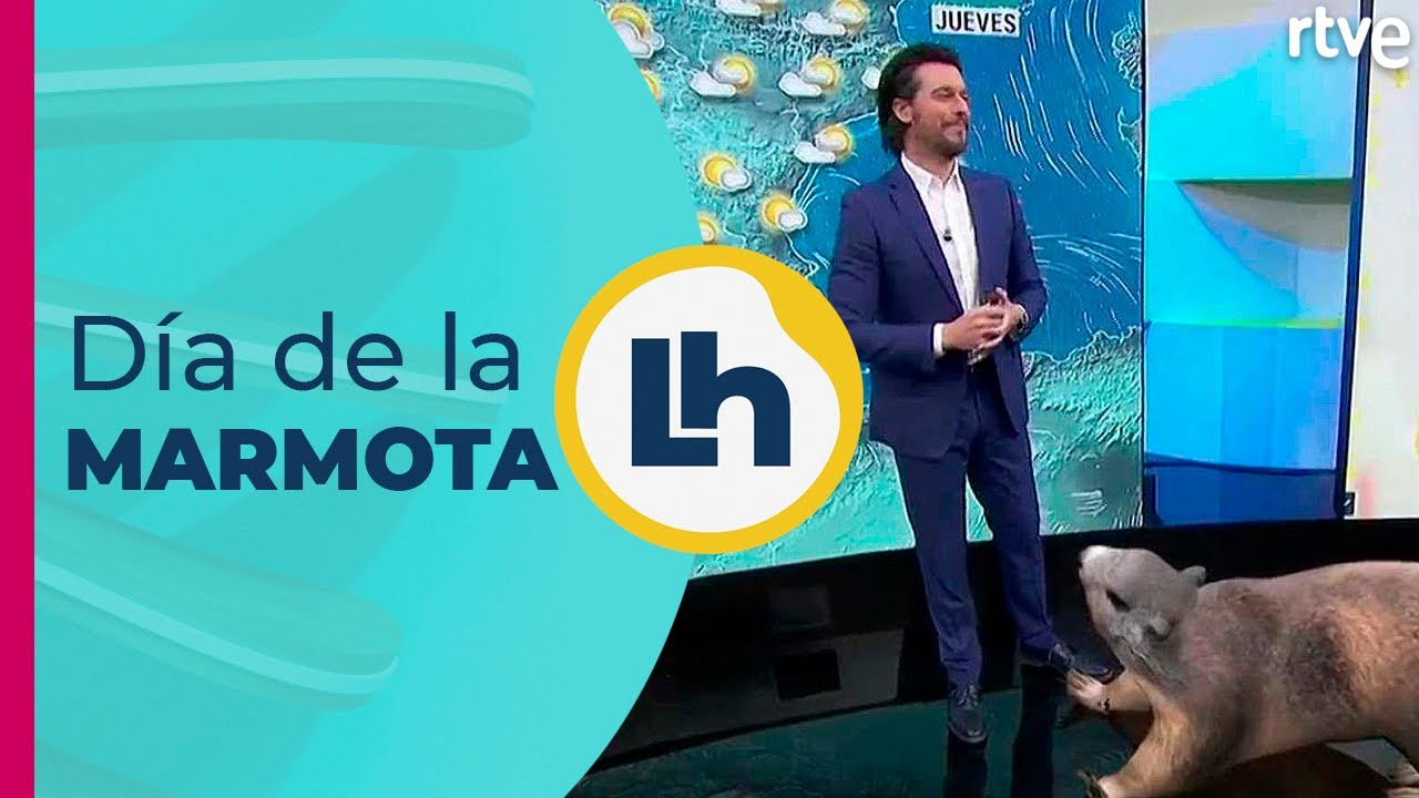 Una marmota se cuela en el plató de La Hora de La 1