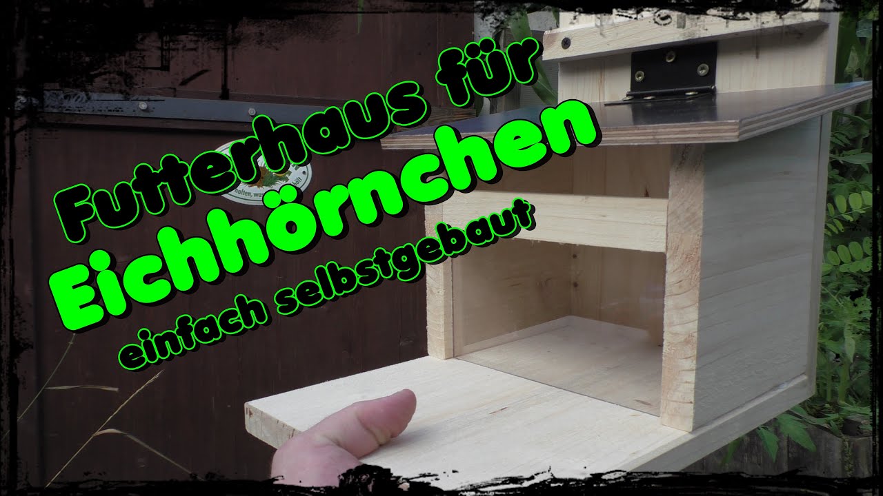 🌰Futterhaus f&uuml;r Eichh&ouml;rnchen einfach selbstgebaut 🐿️ / DIY