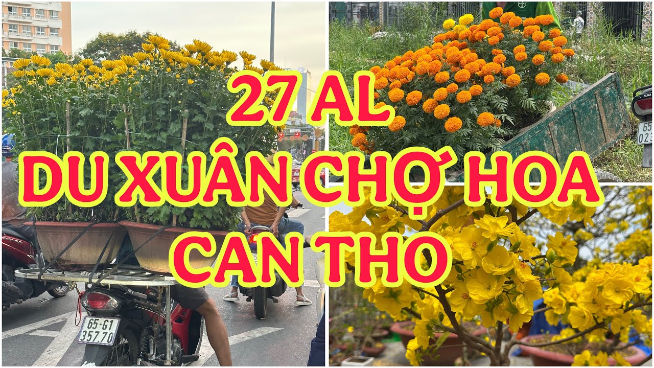 TỐI 27 TẾT NHỘN NHỊP CHƠ HOA XUÂN HOÀNG VĂN THỤ CẦN THƠ🌺14/2/2026🌺cần thơ ký sự