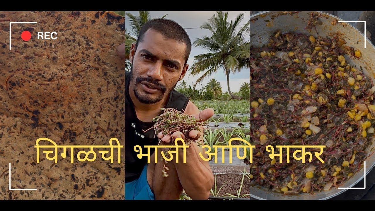 चिगळची भाजी आणि भाकर 
