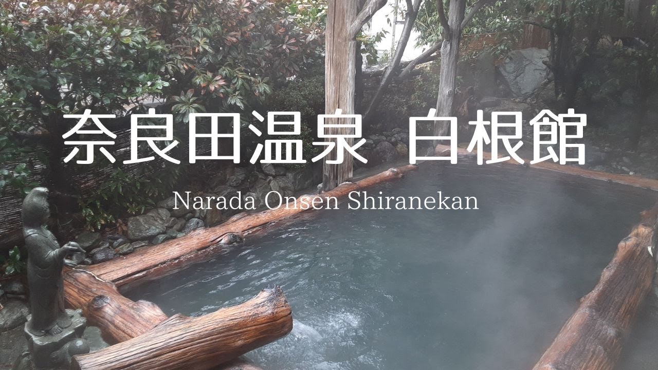奈良田温泉 白根館｜山梨県の温泉