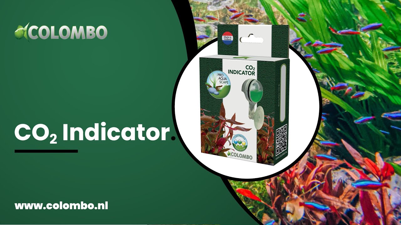 Colombo Plant CO2 Indicator