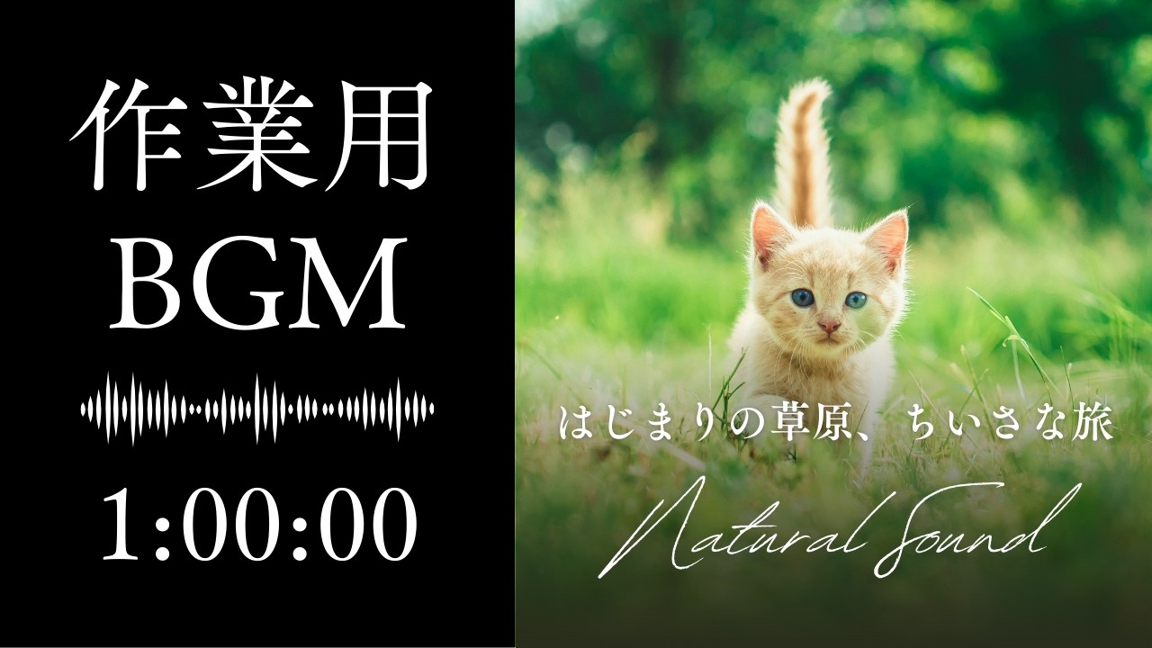 【作業用BGM】何かを始めたい朝に聞きたいやさしい冒険BGM｜はじまりの草原、ちいさな旅