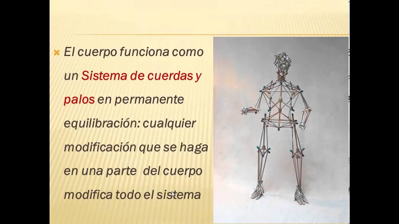 Sistema Fascial y Tensegridad