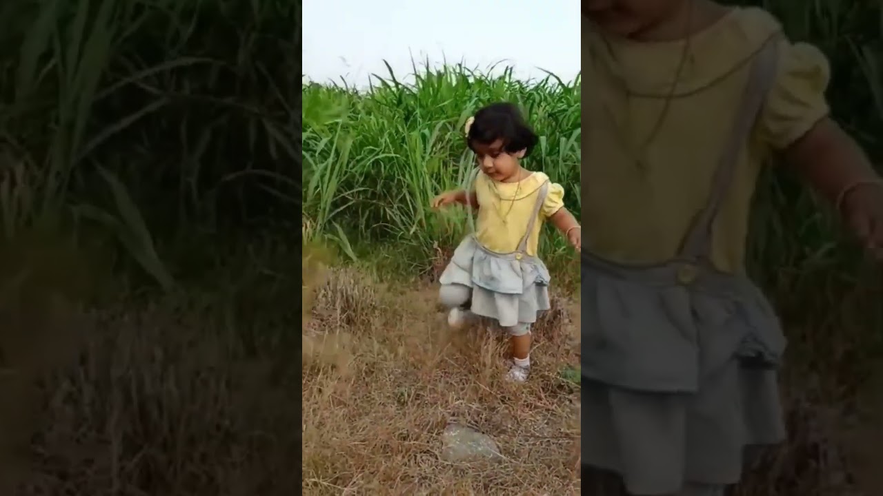 red rose(nihira)in green fields🌾🌾/roja bgm# shorts #kids #village