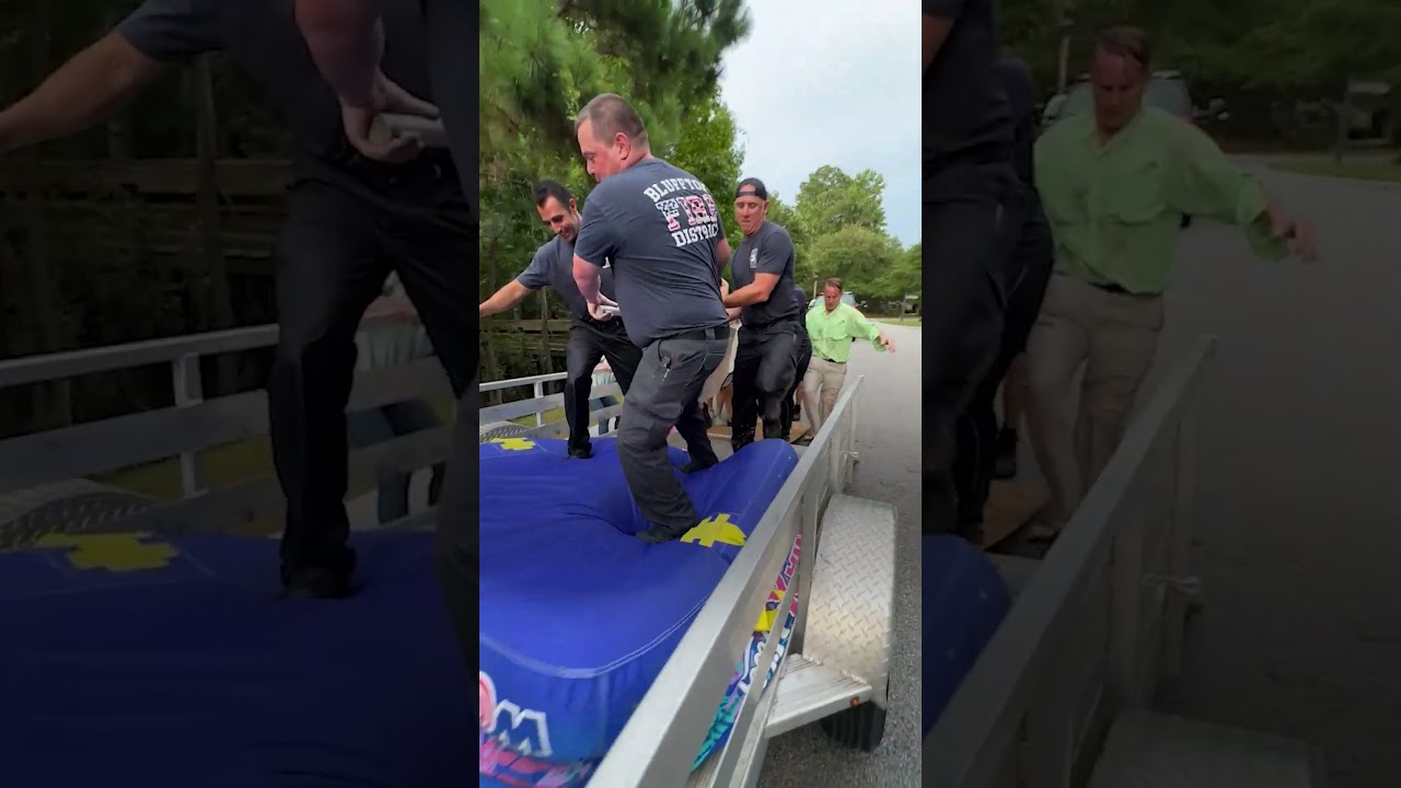 People Rescue 500-Pound Dolphin Stranded Miles Away From Ocean | The Dodo