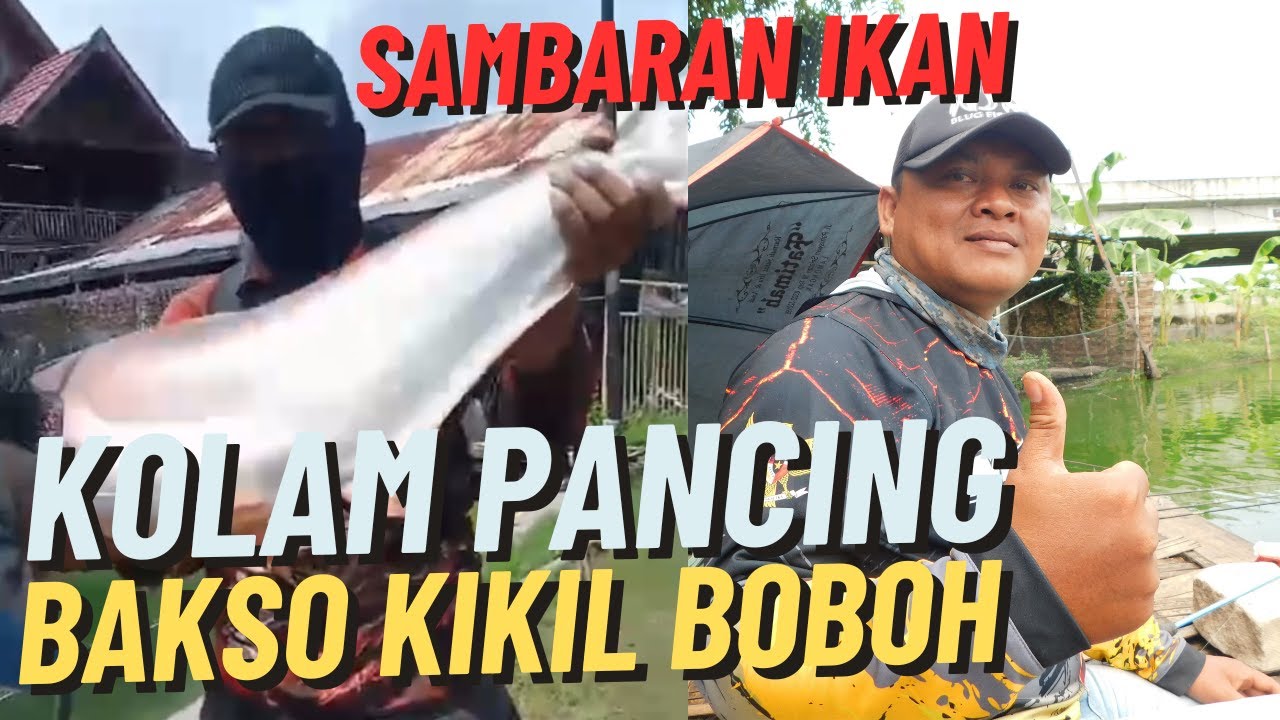 SAMBARAN IKAN SUPER JUMBO #mancingmaniagresik #mancingmania #mancinggresik #mancing