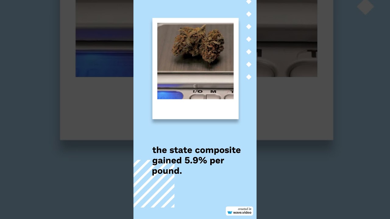 Cannabis Benchmarks US Spot Index Report for April 25, 2025  #cannabiscommunity #stockmarketnews
