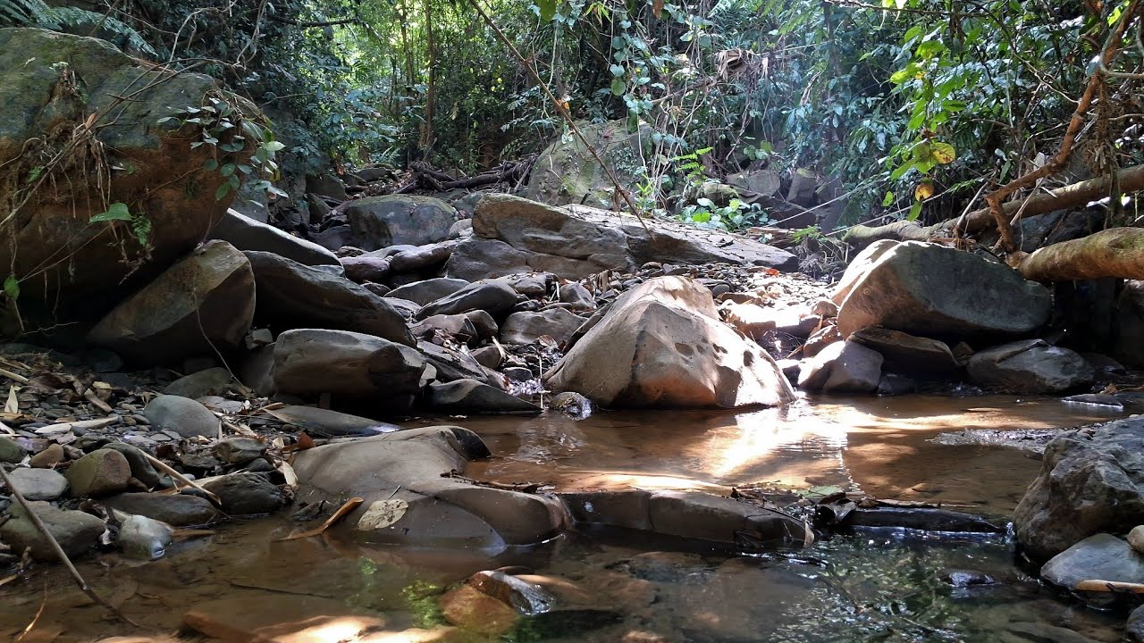 Amazing Mountain Stream Flowing,Soothing Nature Sounds For Deep Focus,Meditation,Sleep.
