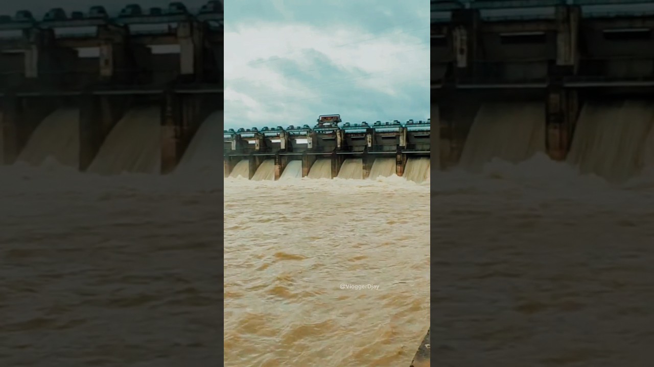 Gangrel Dam Dhamtari | गंगरेल बांध धमतरी | Gangrel Dam Dhamtari #shorts