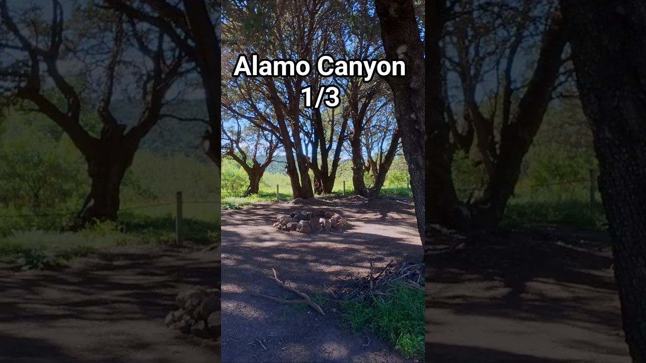 Alamo Canyon 1/3
