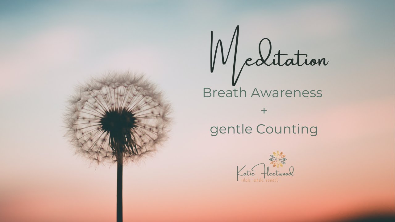 Meditation: Breath Awareness + Gentle Counting