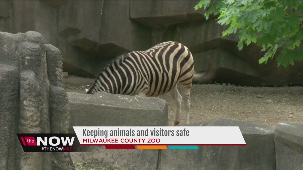 Milwaukee County Zoo prepared for accidents