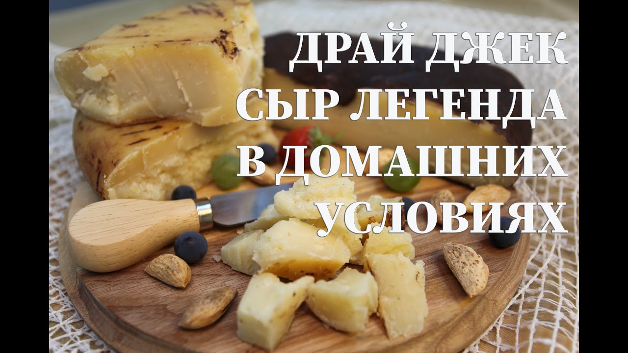 Твердый сыр Драй Джек  в домашних условиях