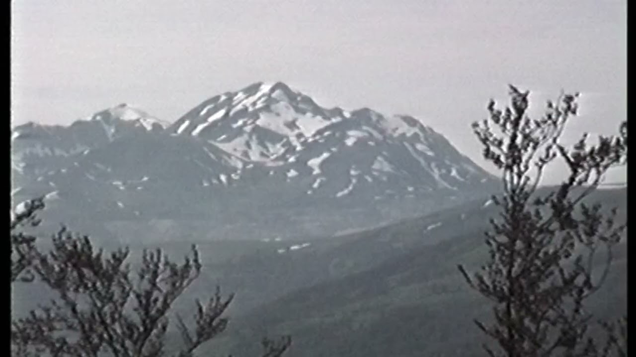 Juanca Franzi Carcassone