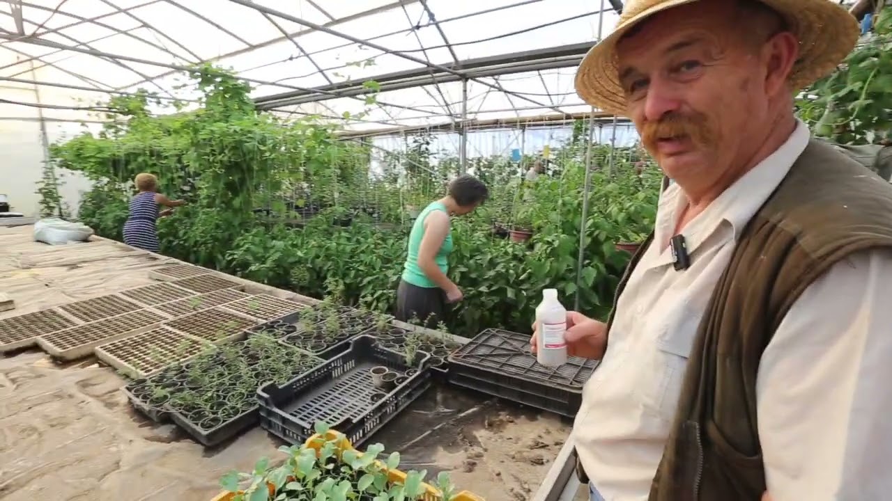 Bíbic Parasztakadémia Rózsa Péter Július 2024