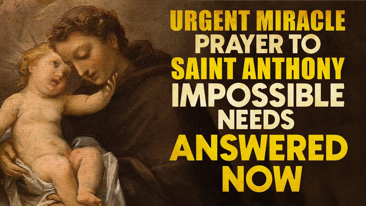 💖POWERFUL PRAYER TO RECEIVE AN URGENT MIRACLE - SAINT ANTHONY OF PADUA🙏