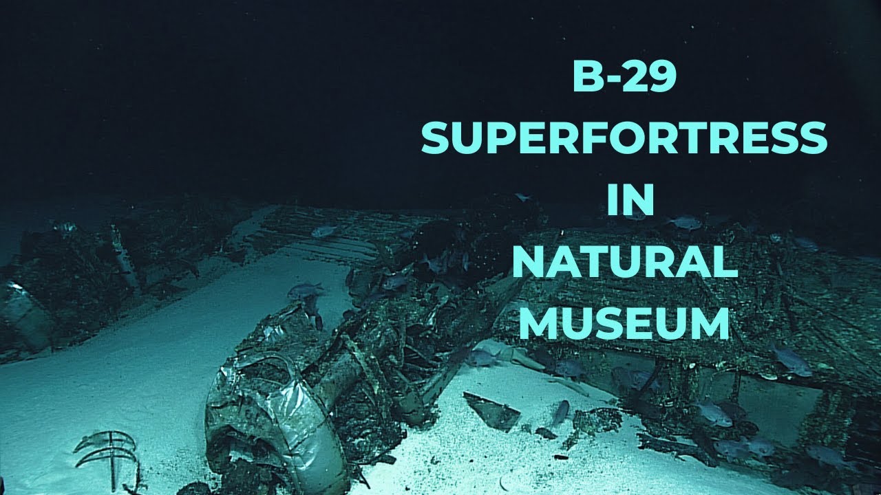 When the Ocean Depths Become a Natural Museum|(World War II Wrecks and Deep Sea Exploration)
