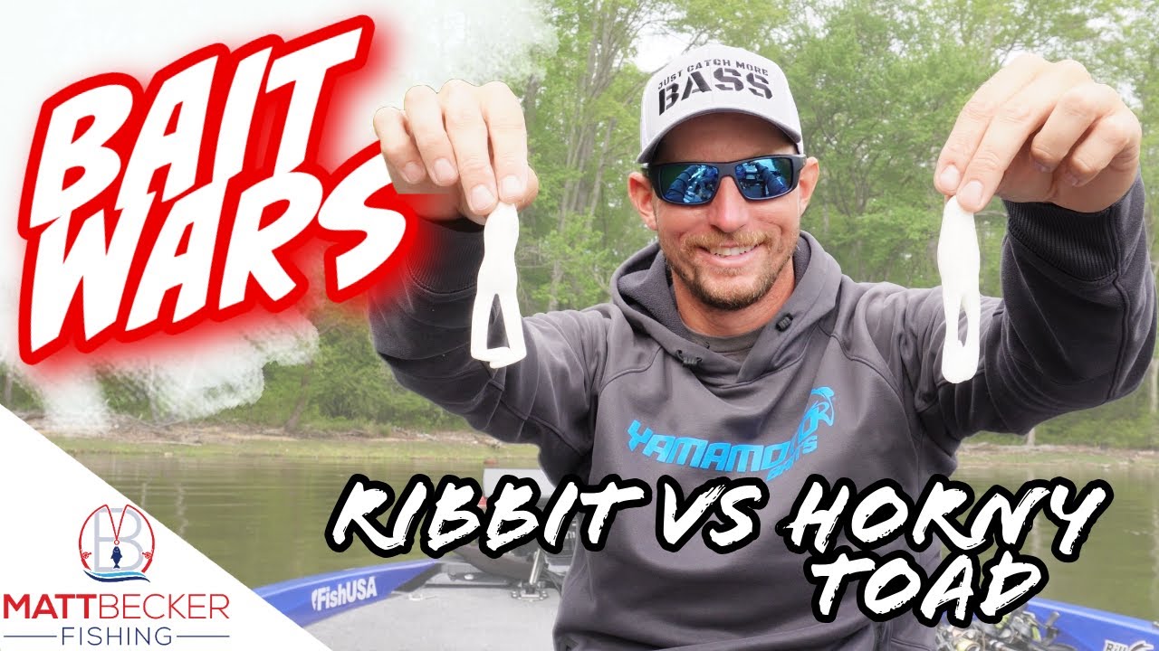 RIBBIT VS. HORNY TOAD - Which is best?