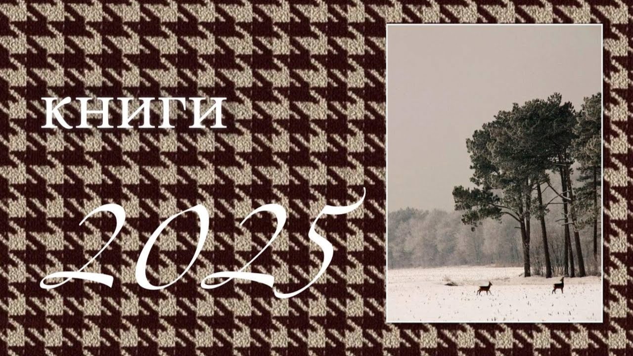 прочитанные книги за 25' год