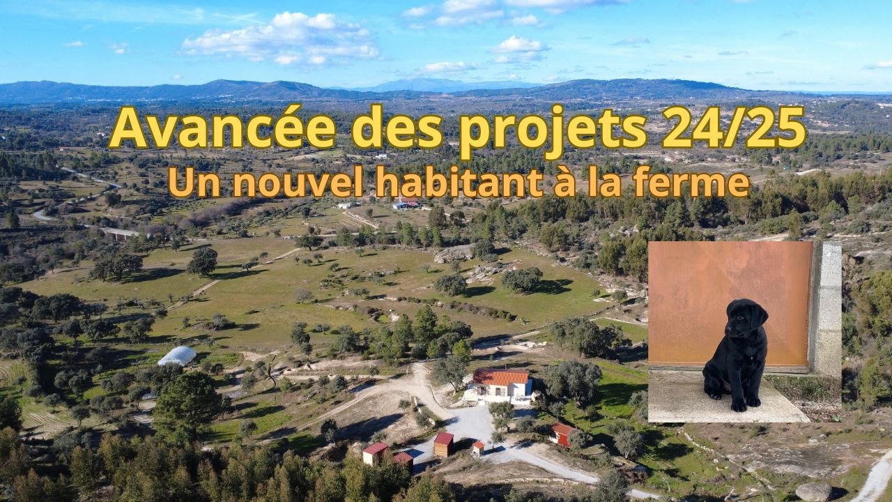 Avancée des projets 24/25, un nouvel habitant à la ferme