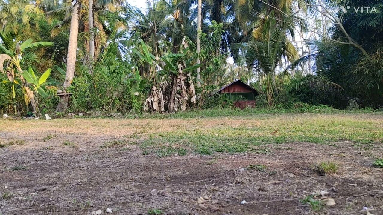 Evening in a village in Andaman.